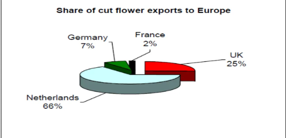 Figure 4: Share of Kenyan cut flower export to Europe in 2003 (Source: Market intelligence 2004)