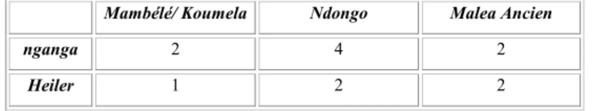 Abbildung 3: Anzahl der Heiler und nganga in den Untersuchungsgebieten 