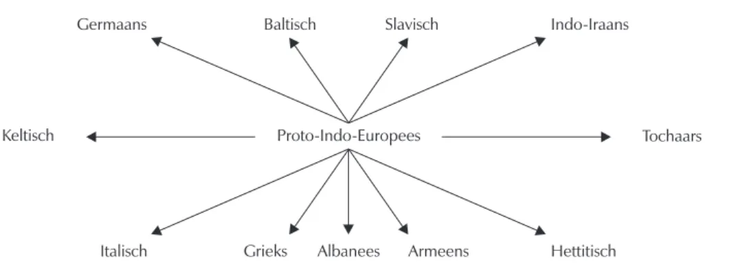 Figuur 1. De differentiatie van het Indo-Europees.
