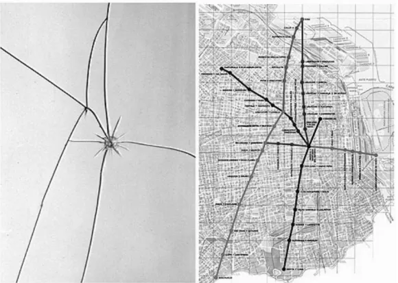 Abb. 1:  Buenos Aires Tour – Die zerbrochene Glasscheibe und daneben ein Stadtplan mit neuen Linien  