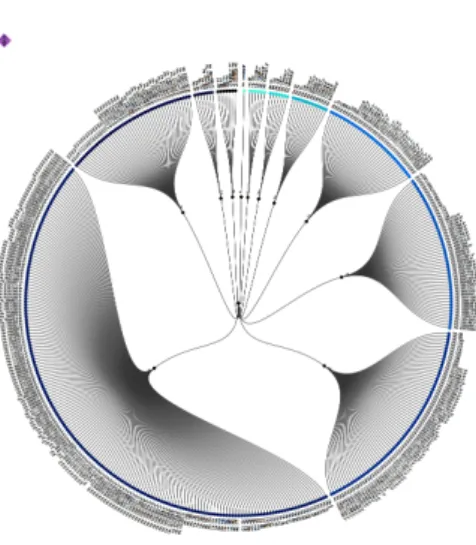 Figure 7: Radial tree with all 450 manuscripts in chronological order clockwise, starting with the 8 th century.