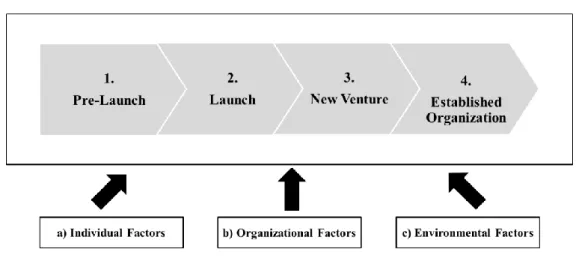 Figure  1.1  illustrates  the  stages  and  antecedents  of  organization  creation  and  development