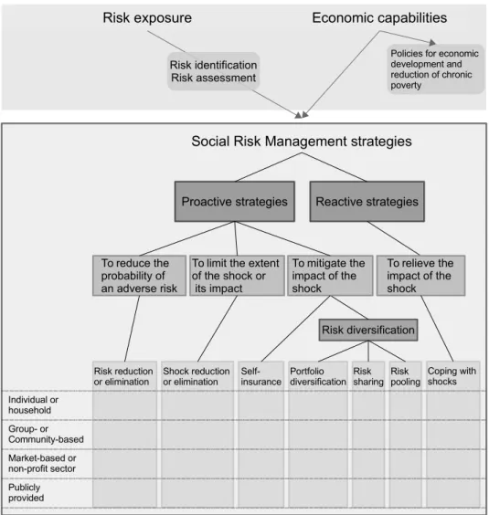 Fig. 1: Typology of social risk management strategies