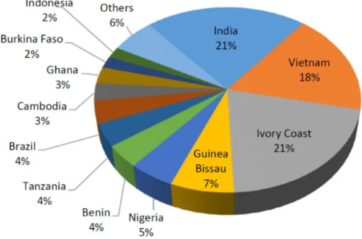 Figure 2: Share of largest RCN producers (2015) 