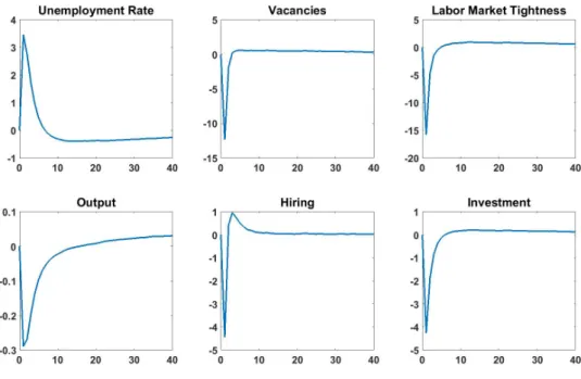 Figure 2.2. Impulse Response Functions: Negative Credit Shock