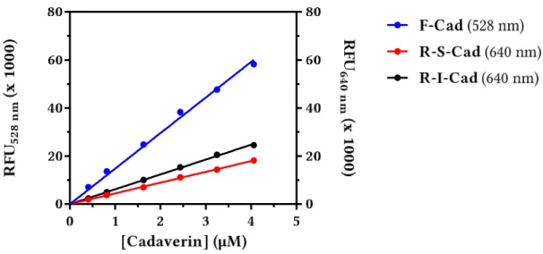 Abb. 32  Bestimmung  der  Fluoreszenz  der  drei  Cadaverin-Derivate.  Alle  Werte  sind  Mittelwerte  ±  Standardfehler  des  Arithmetischen  Mittels  (SEM)  von  drei  unabhängigen  Experimenten  im  Triplikat