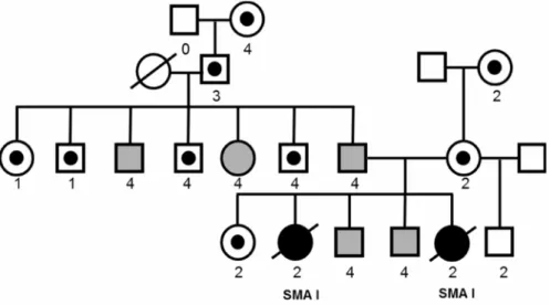 Fig. 5: Pedigree of the family with NCALD reduction in asymptomatic individuals.
