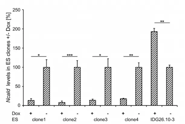 Fig. 18: Quantification of Ncald in ES clones upon Doxycycline induction