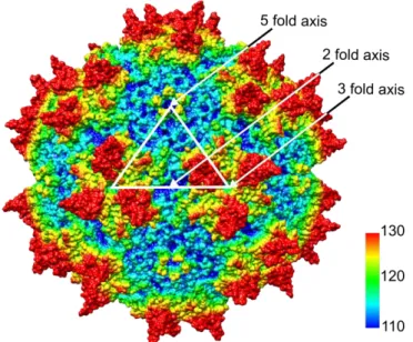 Figure  2  Capsid  of  AAV2. The  capsid  is  shown  as  space-filling  surface  representation model  with  coloring  of  the  amino  acids according to the relative distance from the center of the capsid (blue-cyan-green-yellow-red: ~ 110-130 Å)
