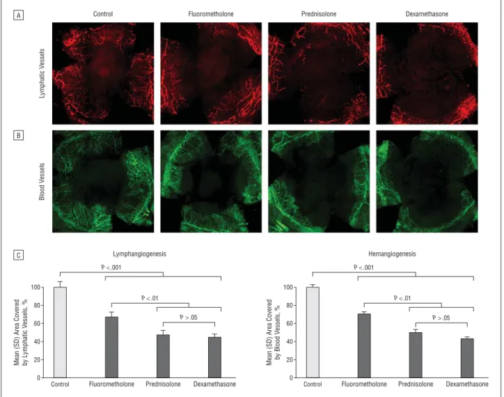 Figure 1. Suppressive effect of corticosteroids on inflammatory corneal lymphangiogenesis in vivo