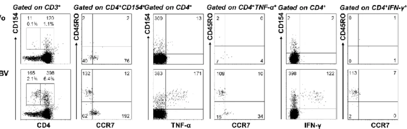 Figure 3.2: Enrichment of CD154 +   cells allows phenotyping of  antigen-specific T cells