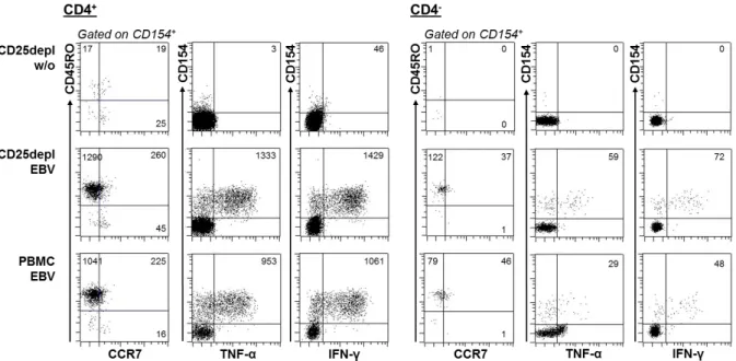 Figure 3.8: Depletion of CD25 +  cells can increase activation of antigen-specific T cells