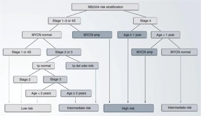 Figure 1: Risk stratification according to the German Neuroblastoma Trial, NB2004 (10)