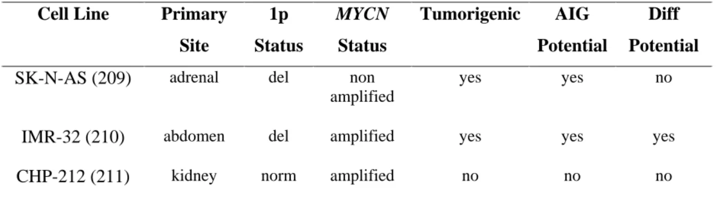 Table  3:  Neuroblastoma  cell  line  characteristics.  Abbreviations:  del.,  deletion;  norm,  normal;  AIG,  anchorage independent growth; Diff, differentiation