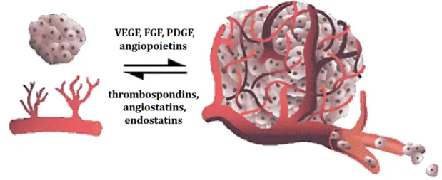 Figure 2: Angiogenic switch in cancer 