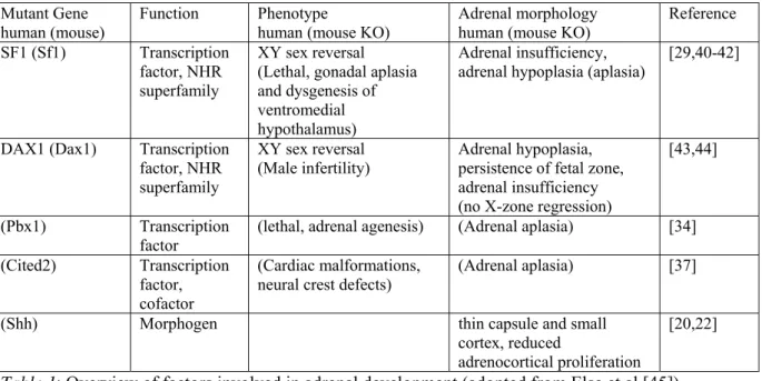 Table 1: Overview of factors involved in adrenal development (adopted from Else et al.[45]) 