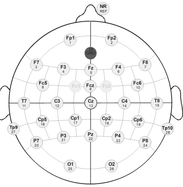 Figure 7: Graphic of the used electrodes (marked in fat script). 