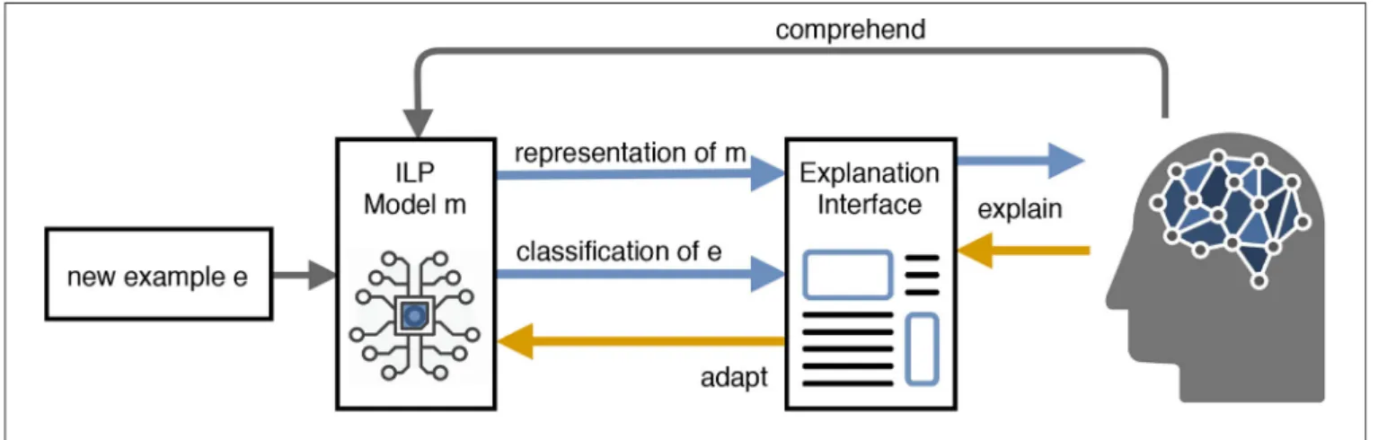 FIGURE 9 | Model of a mutual explanations system (Schmid and Finzel, 2020).