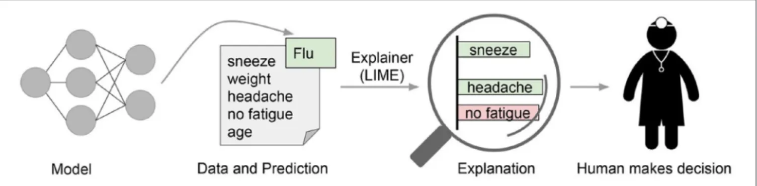 FIGURE 5 | LIME: Explaining individual predictions in the medical context (Ribeiro et al., 2016).