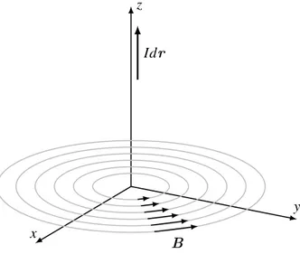 Abbildung 6.4: Die magnetischen Feldlinien sind Kreise um den stromführenden Draht.