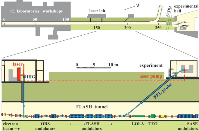 Figure 2: The FLASH facility (top) comprises a 260 m long tunnel housing the linac and undulators of a SASE FEL, followed by an experimental hall with photon beamlines