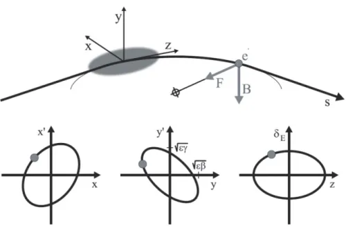 Abbildung 20: Mitbewegtes Koordinatensystem x, y, z, bei dem die z-Koordinate stets tangential zur Sollbahn ausgerichtet ist (oben), sowie Phasenr¨ aume f¨ ur die horizontale, vertikale und longitudinale Teilchenbewegung (unten von links nach rechts).