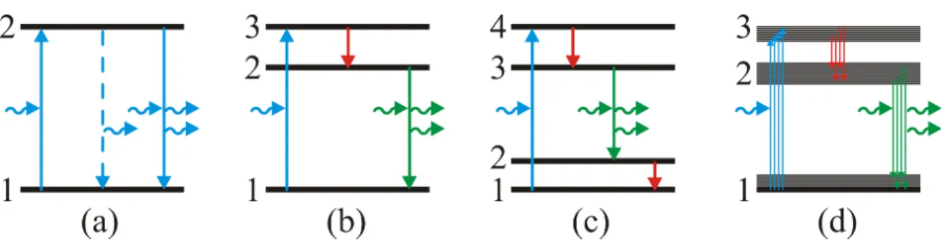 Figure 3: Sketch of atomic levels with absorption, spontaneous emission (dashed) and stimulated emis- emis-sion of photons (wiggly arrows), (a) a two-level system, (b) a three-level system, (c) a four-level system, (d) a cartoon of a band structure instead