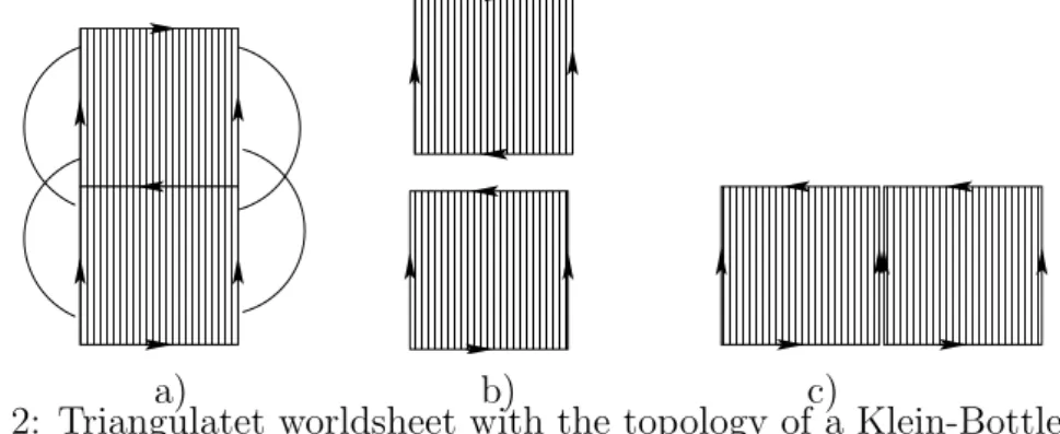 Figure 2: Triangulatet worldsheet with the topology of a Klein-Bottle.