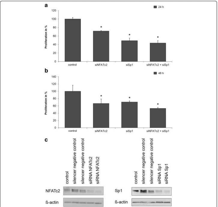 Fig. 3 a, b, and c: Influence of NFATc2 and Sp1 on cell proliferation. PaTu 8988 t cells are transiently transfected with control-siRNA, siNFATc2, and/or siSp1 and stimulated with serum for 24 h (Fig