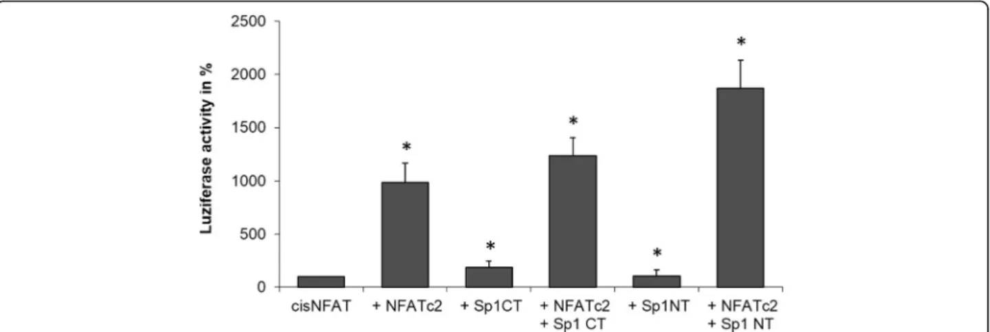 Fig. 5 Functional interaction between NFATc2 and Sp1 in the dual luciferase assay. Dual luciferase assay by using the artificial NFAT-responsive reporter-promotor construct cisNFAT-Luc and the effector plasmids NFATc2, Sp1-CT, and Sp1-NT