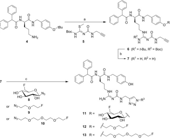 Figure 1.  Synthesis of the alkyne-functionalised argininamide 7, serving as a precursor for click chemistry- chemistry-based  18 F-labelling (see Fig. 2), and preparation of the potential Y 1 R ligands 11–13