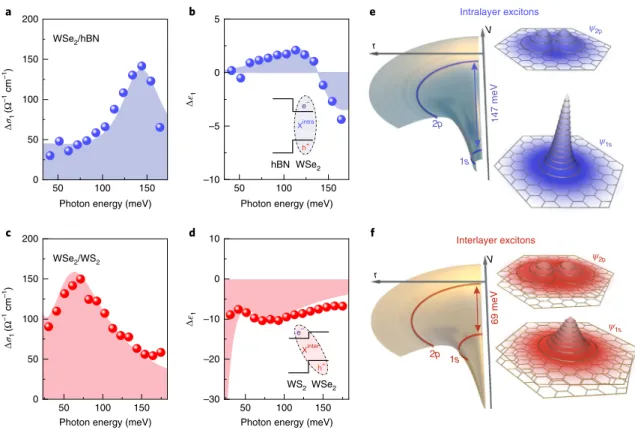 Fig. 2 | Dielectric response of intra- and interlayer excitons and excitonic wavefunctions