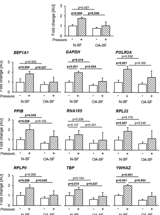 Fig 5. Influence of the choice of housekeeping gene used for normalization and its stability on the fold-change expression of P4HA1 in N-SF and OA-SF without and with additional static pressure application