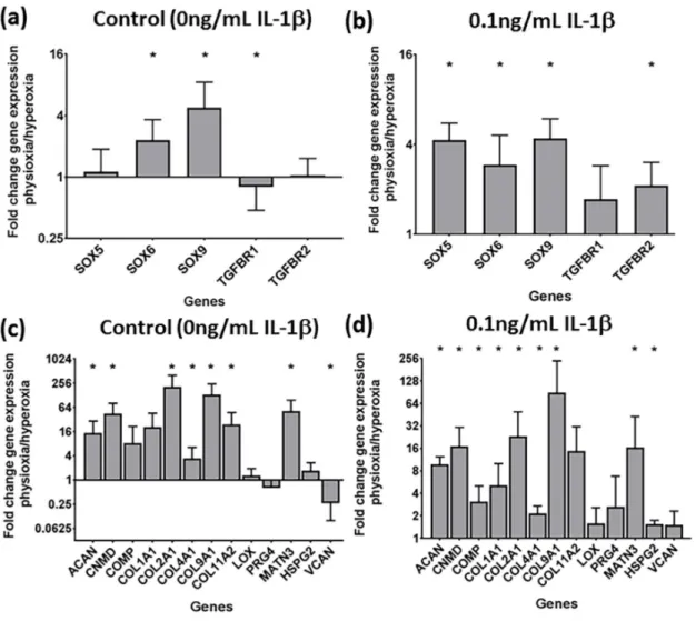 Figure 5. Gene expression of (a,b) chondrogenic transcription factors and (c,d) cartilage matrix proteins under physioxia for (a,c) control and in the presence of (b,d) 0.1 ng/mL IL-1β for physioxia responsive donors