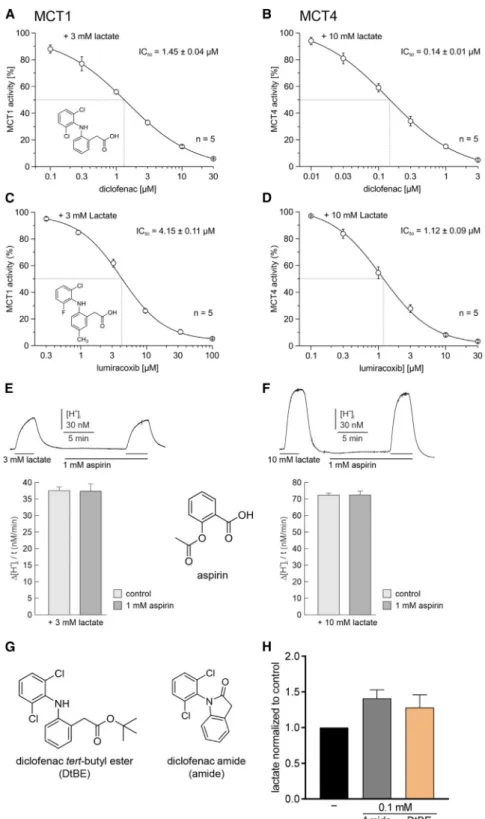 Figure 2. Diclofenac and Lumiracoxib Inhibit MCT1 and MCT4 Transport Activity (A and B) Indicated concentrations of diclofenac were washed in for 10 min, and relative rate of change in [H + ] i (D[H + ] i /Dt) was determined as induced by application of (A