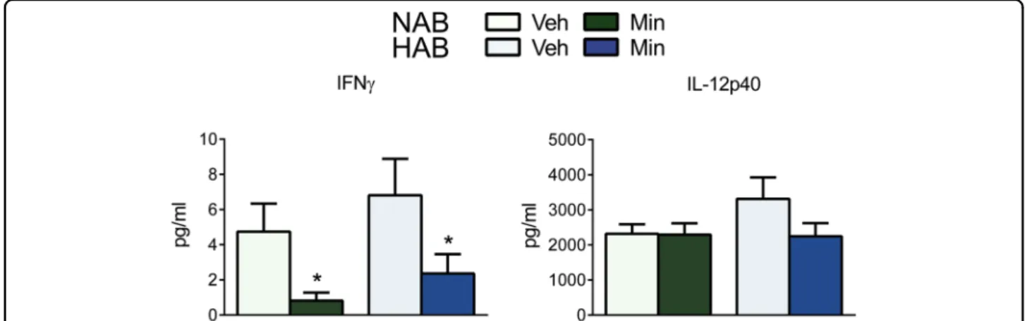Fig. 3 Cytokine concentration in plasma samples of male HAB and NAB rats on day 22 of vehicle (Veh) or minocycline (Min) treatment.
