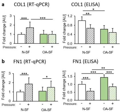 Figure 2. Impact of static compressive force application on the extracellular matrix. Gene expression  and protein secretion of (a) COL1 and (b) FN1 of N‐SF and OA‐SF after  48 h with or  without static  compressive force application. AU: arbitrary units; 