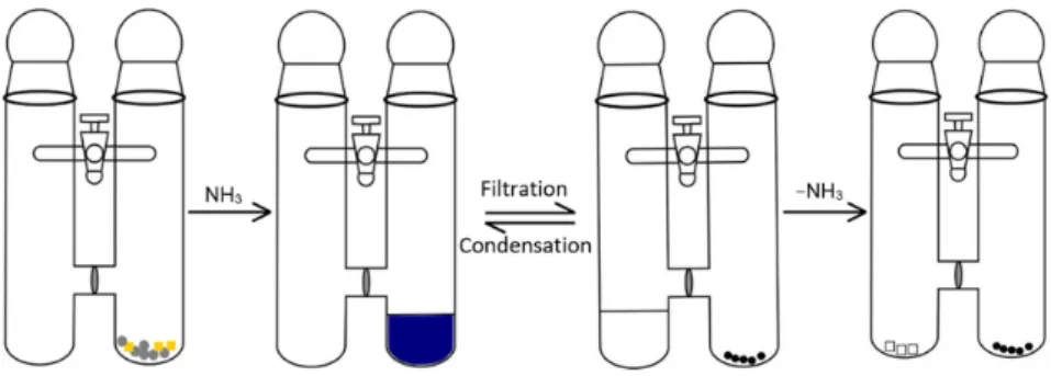 Table 1. Amounts of the used thallium(I) salts. 