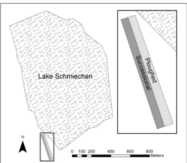 FIGURE 1 | Former agricultural plot (plowed and undisturbed) in Lake Schmiechen, Baden-Württemberg, Germany.