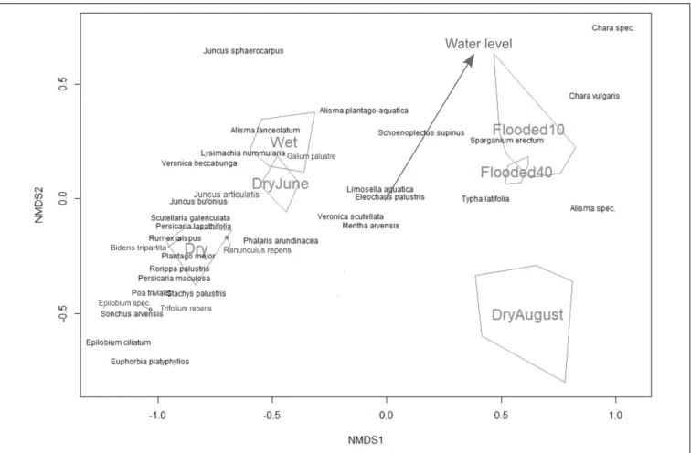 FIGURE 2 | Non-metric multidimensional scaling ordination for the seed bank experiment with different water levels represented as a categorical variable (convex hulls) and fitted as an environmental vector (arrow).