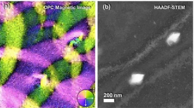 Fig. 1:a) a DPC magnetic  image of FeRh thin film after transition from antiferromagnetic to ferromagnetic  at around  130 °C
