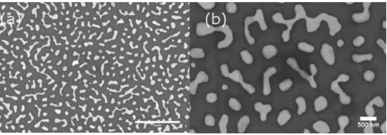 Fig.  1:  Dewetting  of  NiAu  thin  film:  a)  formation  of  fingerlike  structures,  b)  isolated  particles  after  longer  dewetting  time