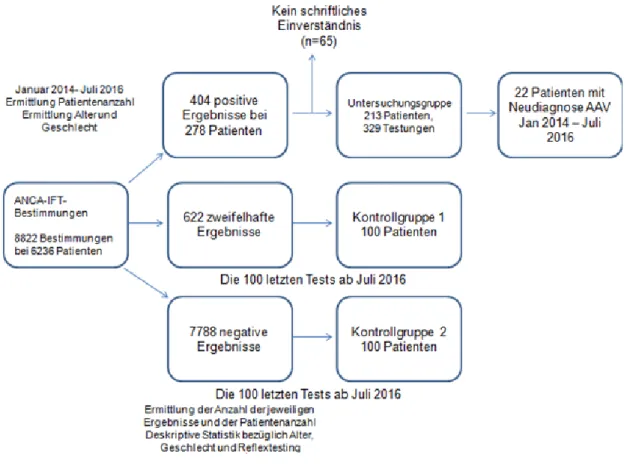 Abb. 9: Festlegung der Untersuchungs – und Kontrollgruppen 