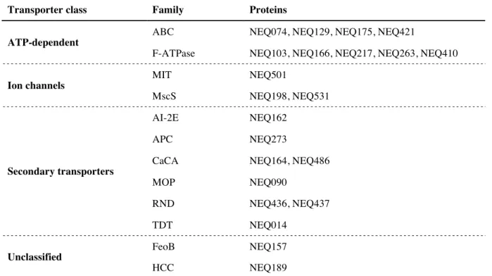 Table I.3: Annotated transporter classes and families in the genome of N. equitans. 