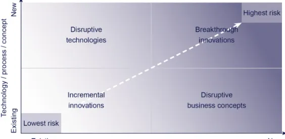 Abbildung 7: Arten von Innovationen (Quelle: eigene Darstellung in Anlehnung an As- As-sink, 2006, S