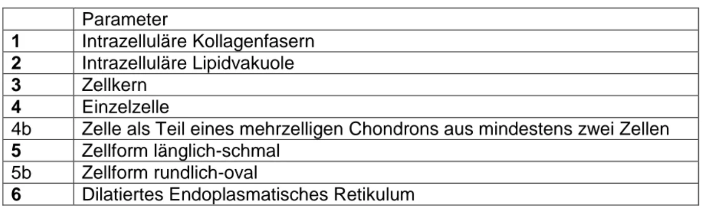 Tabelle  5: Auswertungsparameter  Parameter  1   Intrazelluläre Kollagenfasern  2  Intrazelluläre Lipidvakuole  3  Zellkern  4  Einzelzelle 