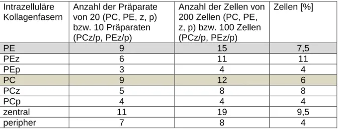 Tabelle  8: Auszählung des Parameters Intrazelluläre Kollagenfasern  Intrazelluläre 