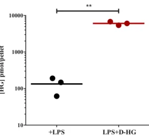 Figure 4.3. Uptake of D-HG by DCs. Human iDCs were differentiated from elutration-separated  monocytes and were stimulated with 100ng/ml LPS in the presence or absence of 10mM D-HG  for 24hrs