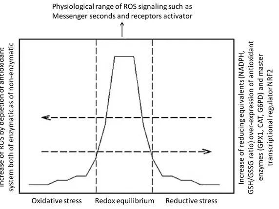 Figure 1. The redox equilibrium is essential for cellular homeostasis. Moderate reactive  oxygen species (ROS) production leads to their effects as second messengers