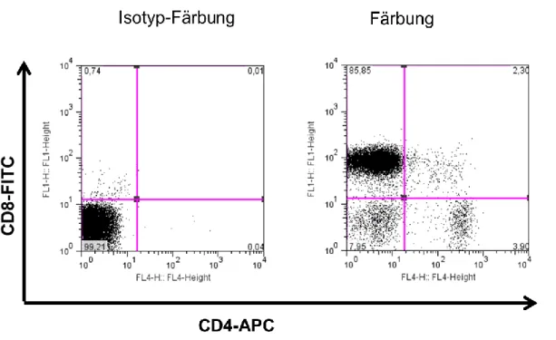 Abbildung 4-8: Repräsentative FACS-Dotplots einer Isolierung von CD8 + -Zellen.